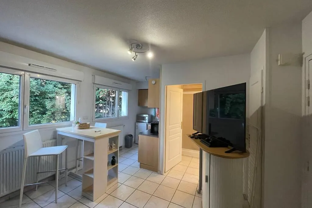 Superbe Studio Geneve Tout Equipe Douane De Moillesulaz Apartment Gaillard 0*,