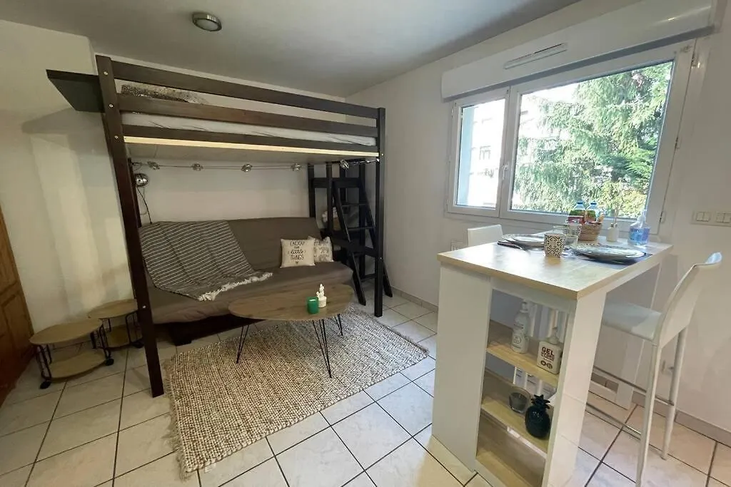 Superbe Studio Geneve Tout Equipe Douane De Moillesulaz Apartment Gaillard France
