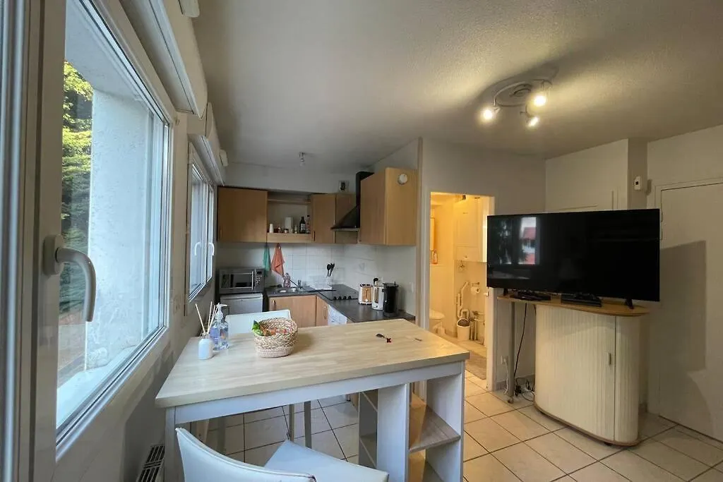 Superbe Studio Geneve Tout Equipe Douane De Moillesulaz Apartment Gaillard